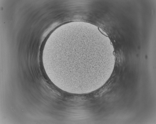 X0000066960292200604211848