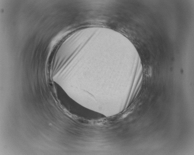 X0000066960294200604211848