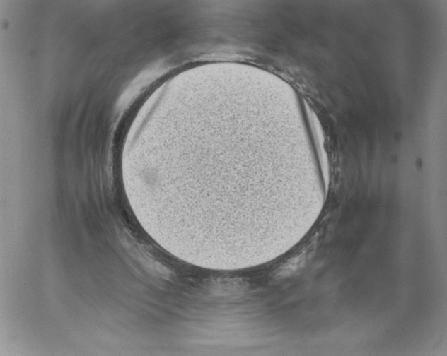 X0000066960296200604211848