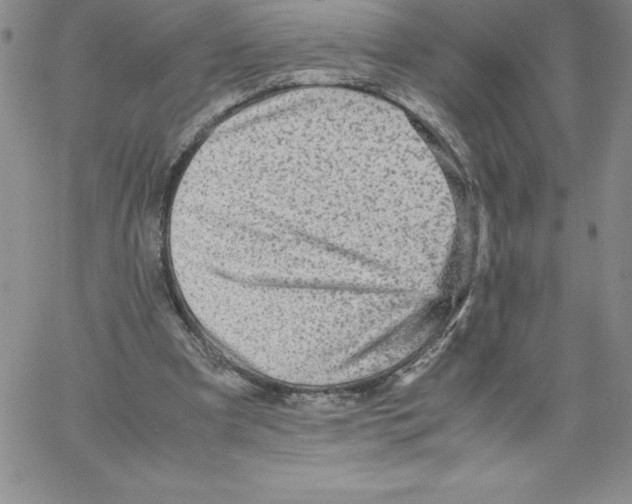 X0000066960297200604211848