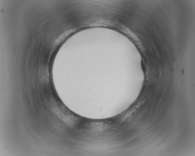 X0000066960298200604211848