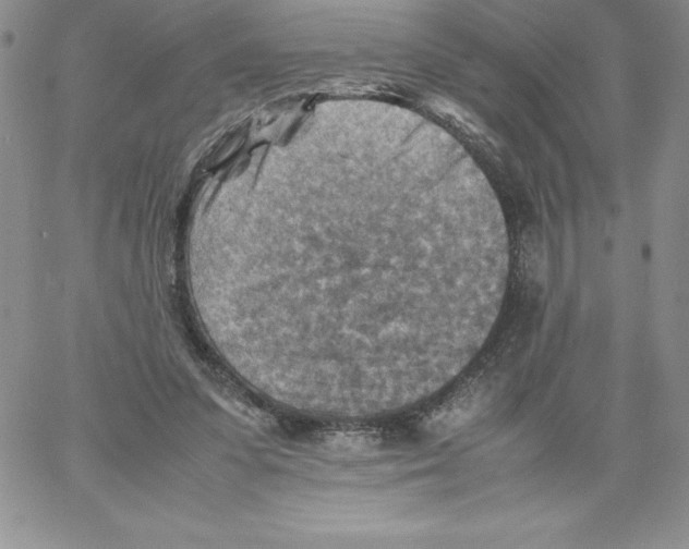 X0000066960303200604211848