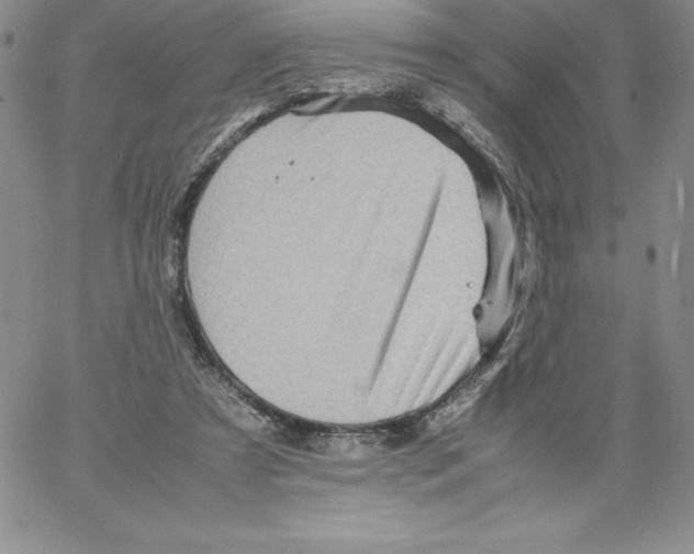 X0000066960305200604211848