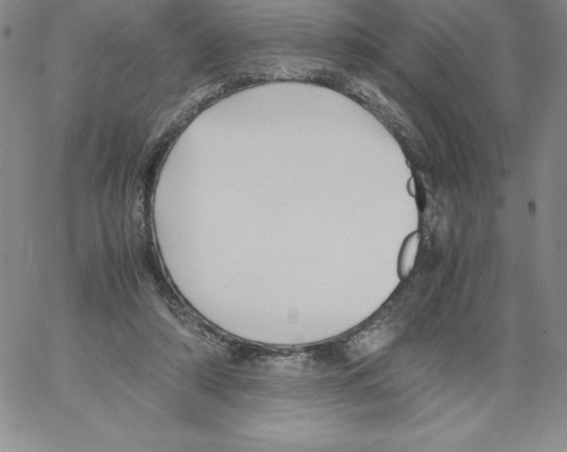 X0000066960306200604211848