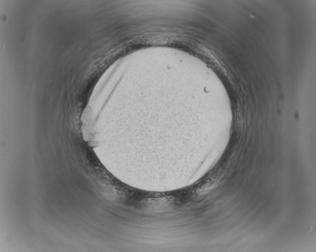 X0000066960307200604211848