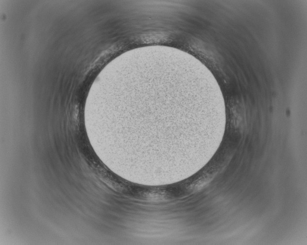 X0000066960308200604211848