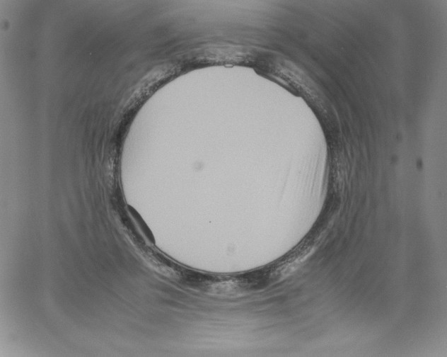 X0000066960309200604211848