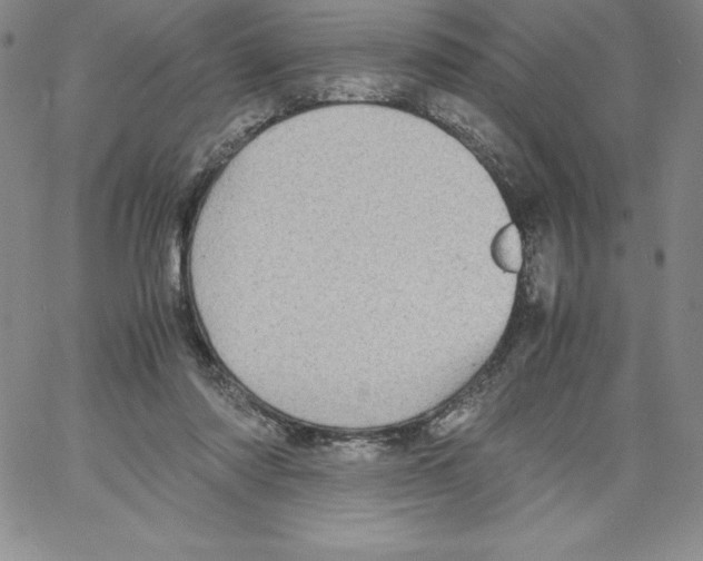 X0000066960310200604211848