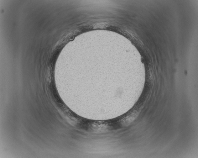 X0000066960311200604211848