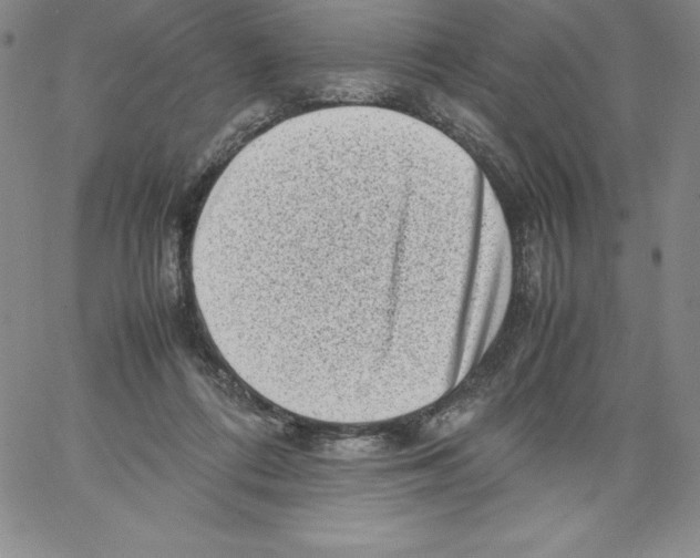 X0000066960312200604211848