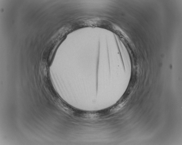 X0000066960313200604211848