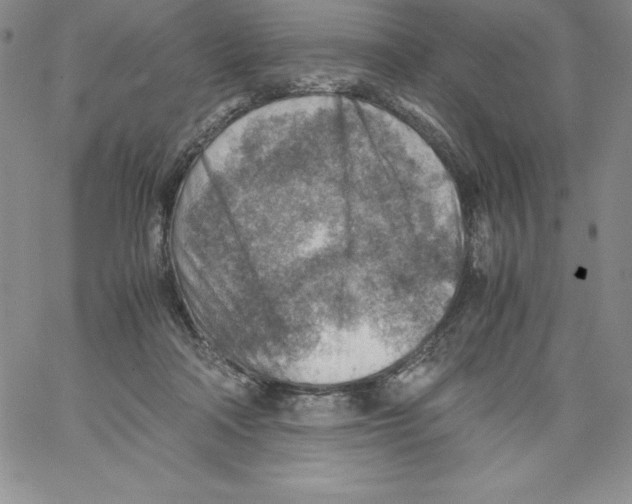 X0000066960314200604211848