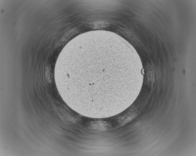 X0000066960316200604211848