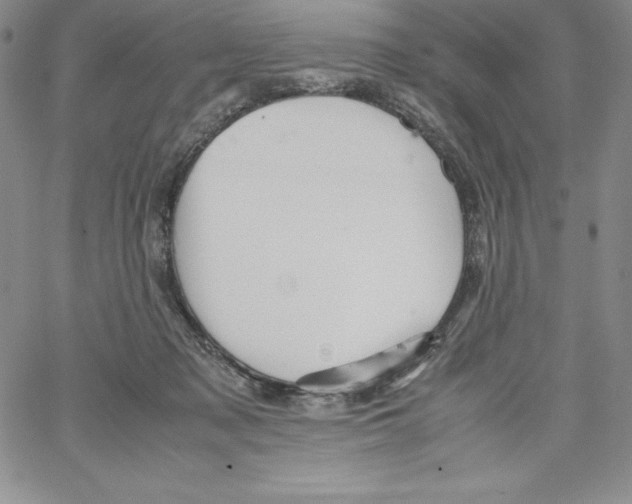 X0000066960317200604211848