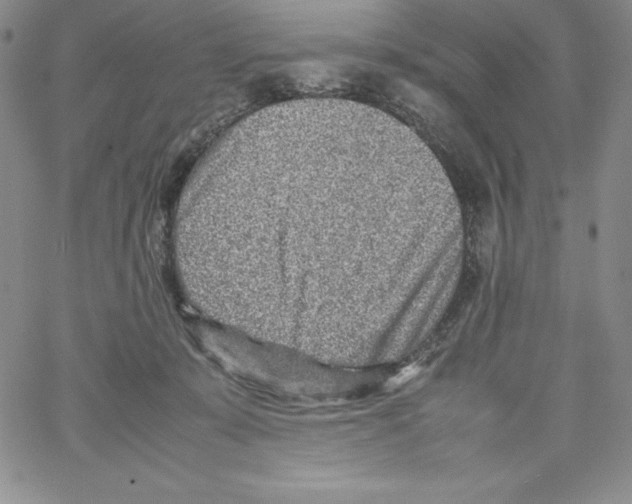 X0000066960319200604211848