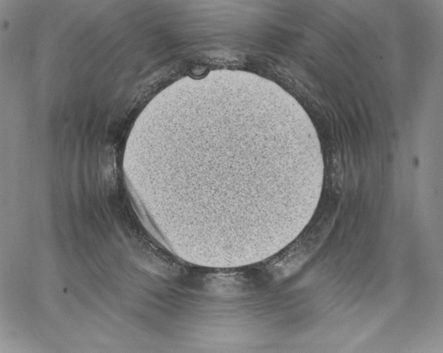 X0000066960320200604211848