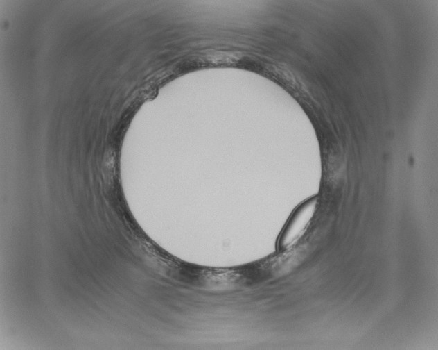 X0000066960321200604211848