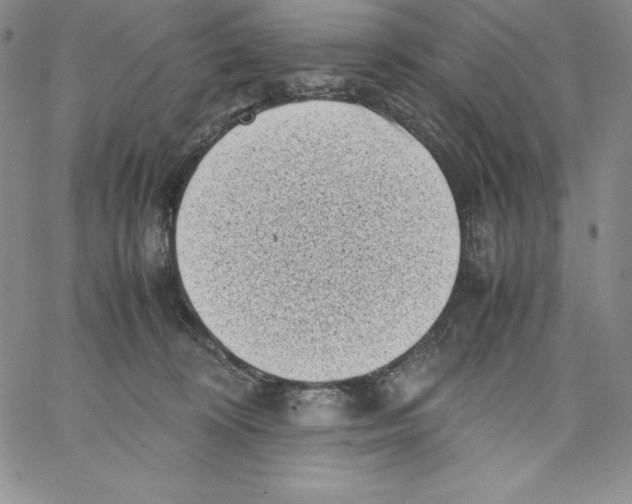 X0000066960324200604211848