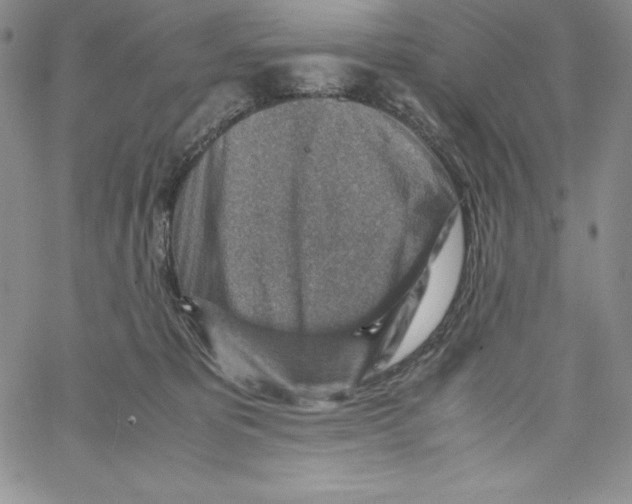 X0000066960325200604211848