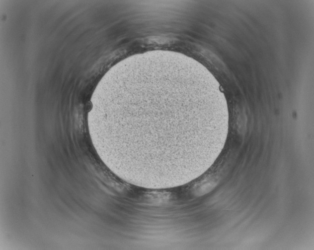 X0000066960328200604211848