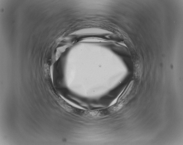 X0000066960329200604211848