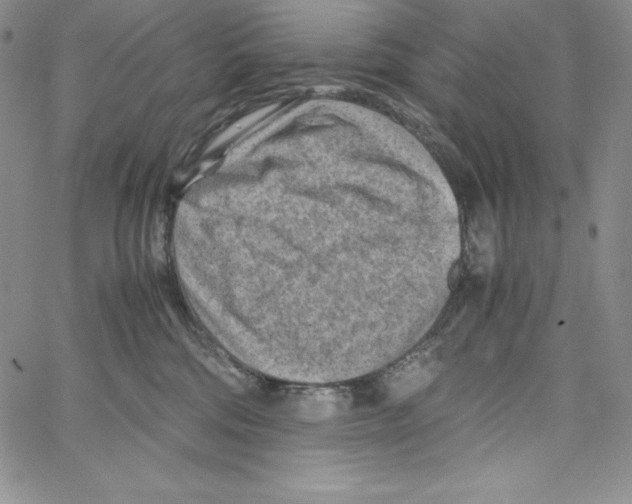 X0000066960330200604211847