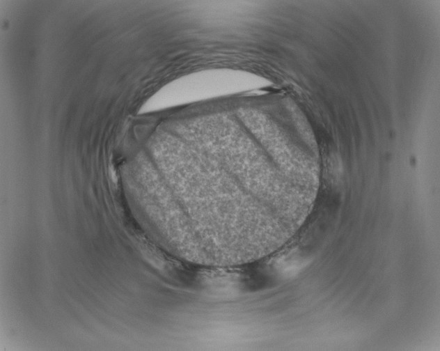 X0000066960331200604211847