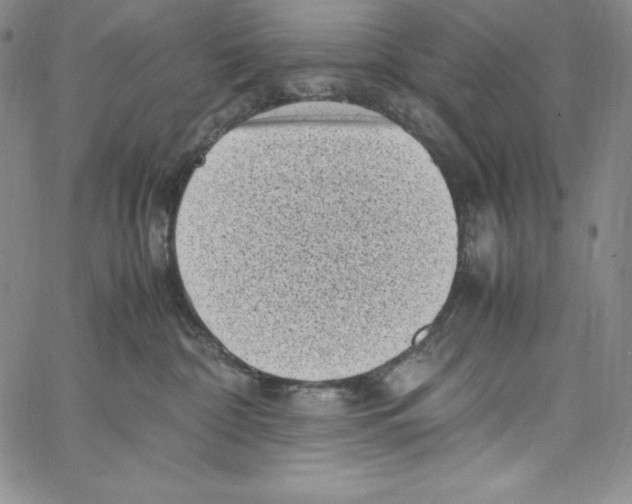 X0000066960332200604211847