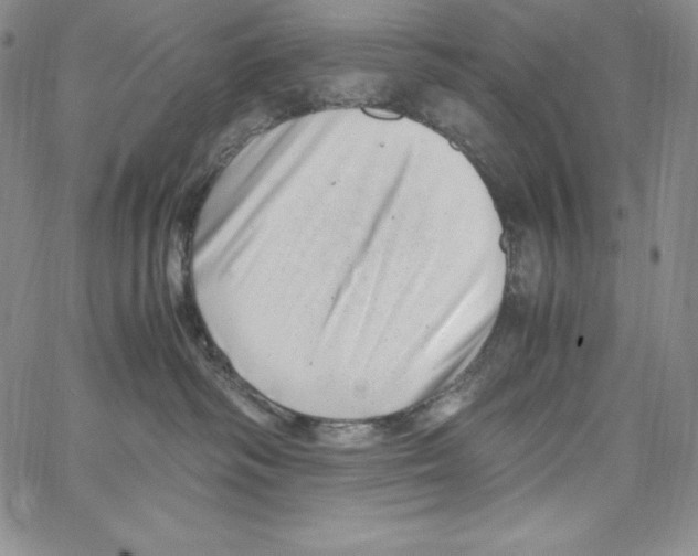 X0000066960334200604211847