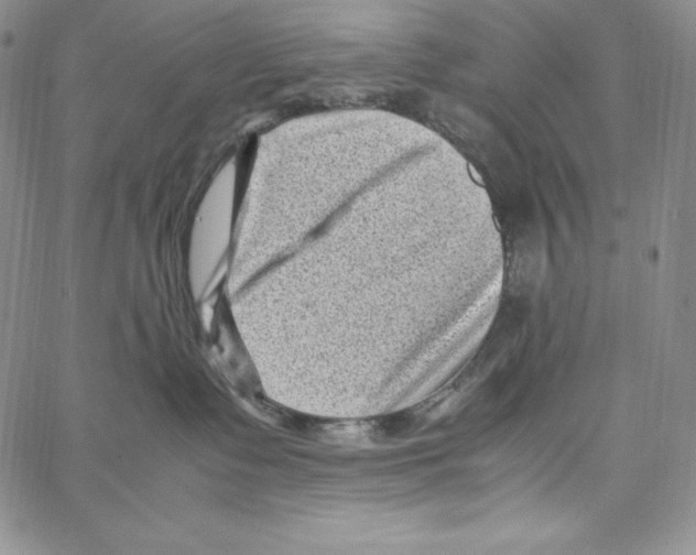 X0000066960335200604211847