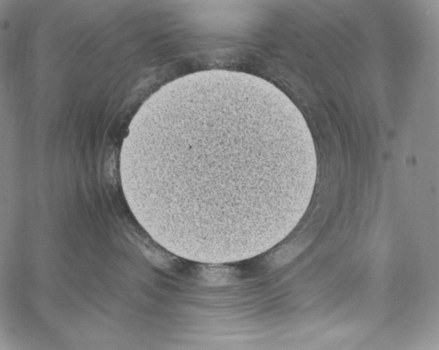 X0000066960336200604211847