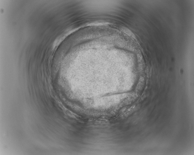 X0000066960337200604211847