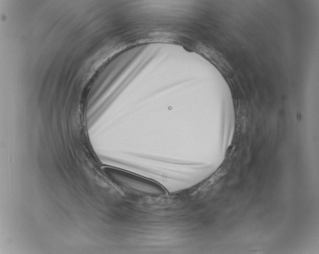 X0000066960338200604211847