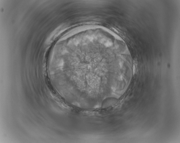 X0000066960339200604211847