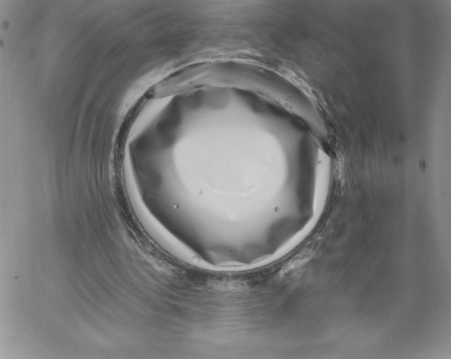 X0000066960340200604211847