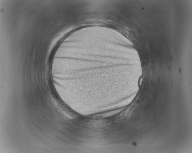 X0000066960342200604211847