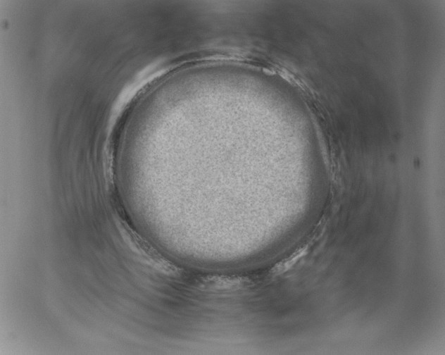 X0000066960343200604211847