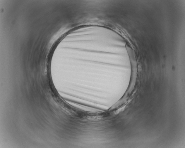 X0000066960344200604211847