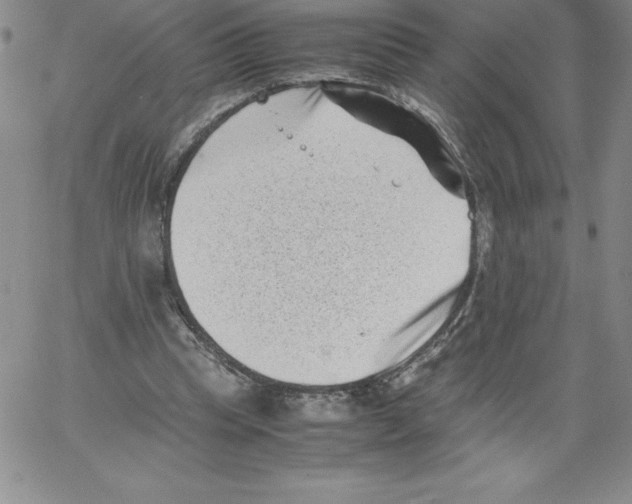 X0000066960345200604211847