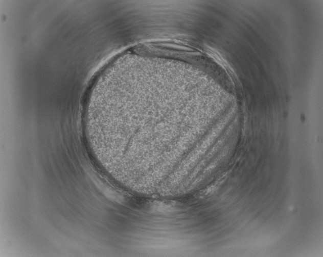 X0000066960346200604211847