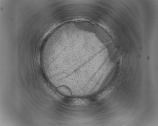 X0000066960347200604211847