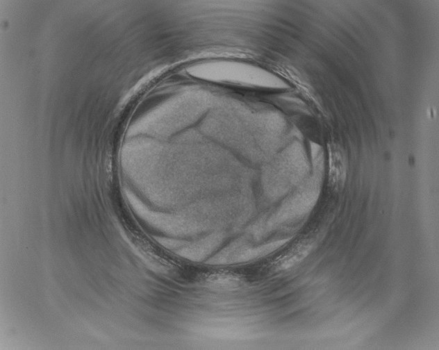 X0000066960348200604211847