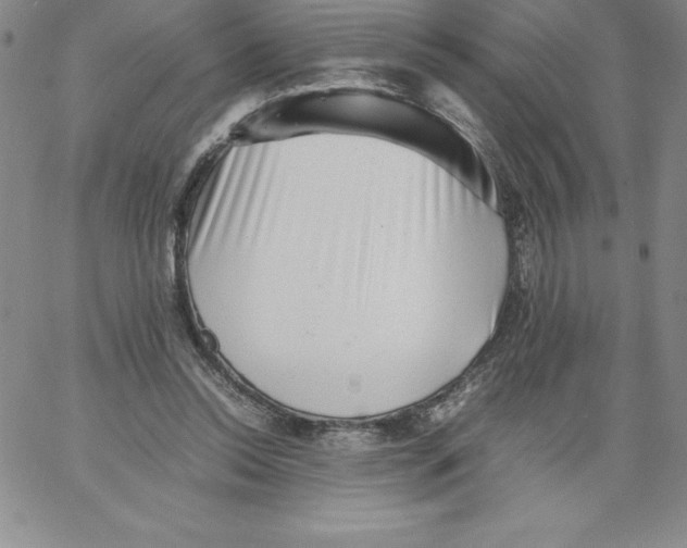 X0000066960350200604211847