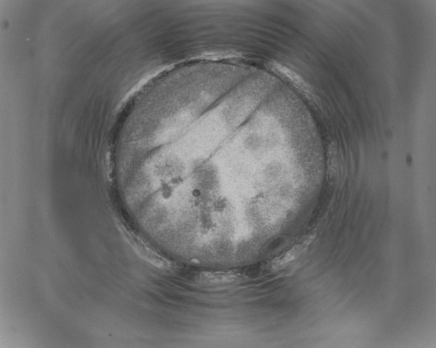 X0000066960351200604211847