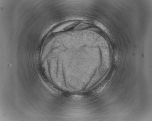 X0000066960352200604211847