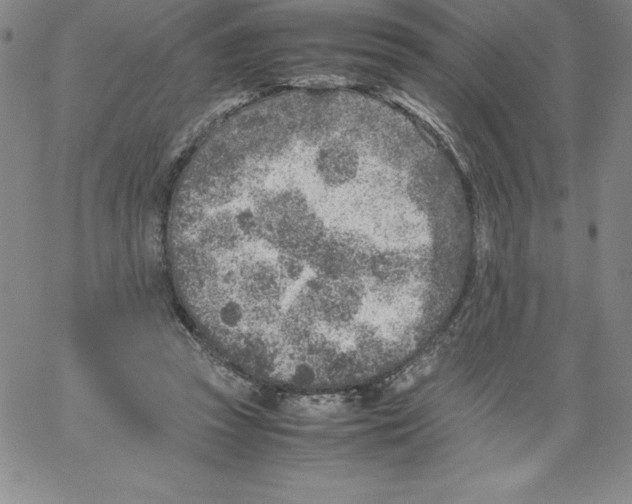 X0000066960353200604211847