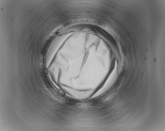 X0000066960356200604211847