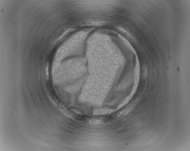 X0000066960358200604211847