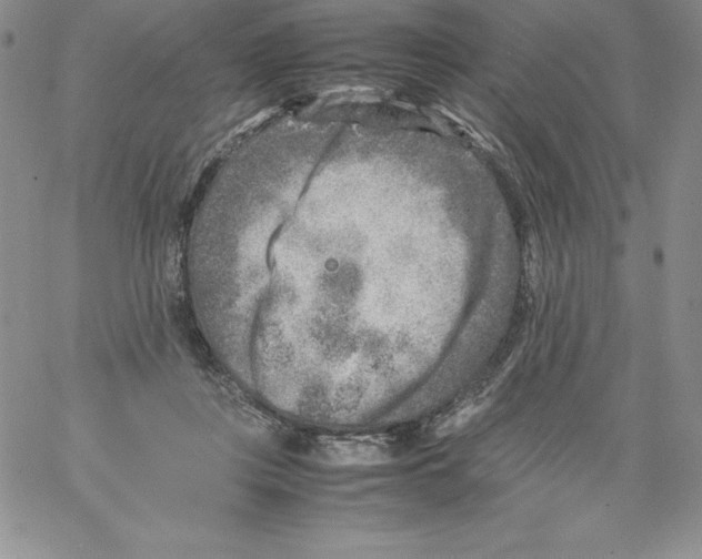 X0000066960359200604211847