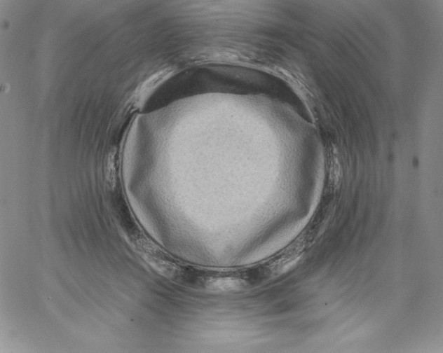 X0000066960360200604211847